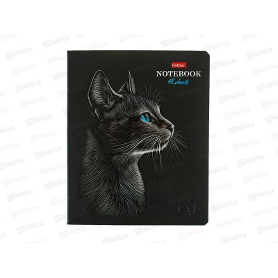 Тетрадь 48л кл. Hatber Черный кот 093159 *5/60