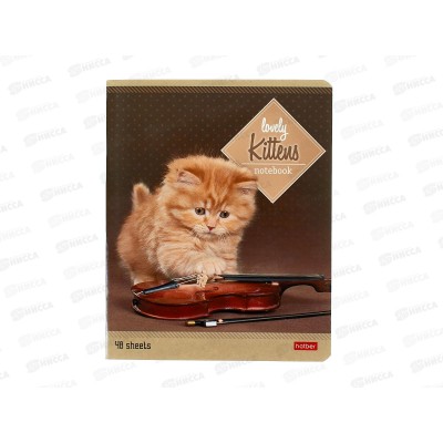 Тетрадь 48л лин. Hatber Котята, 047012 *5/60