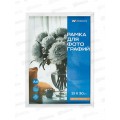 Фоторамка 21*30 Workmate, пластик, акриловое стекло, белая, 15-8059 *25