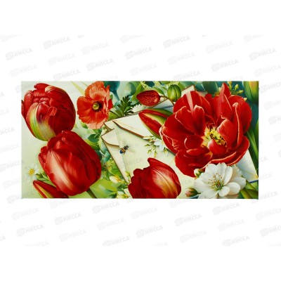 Конверт для денег МП Без надписи, 7.0000441 *10