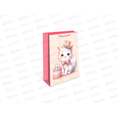 Пакет подарочный АД 18*22,3 0192.520