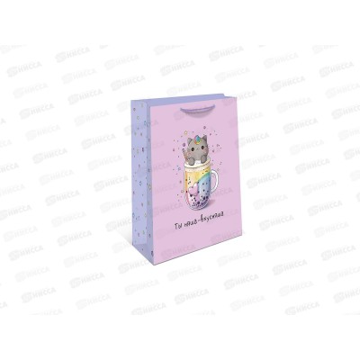 Пакет подарочный АД 18*22,3 0192.684