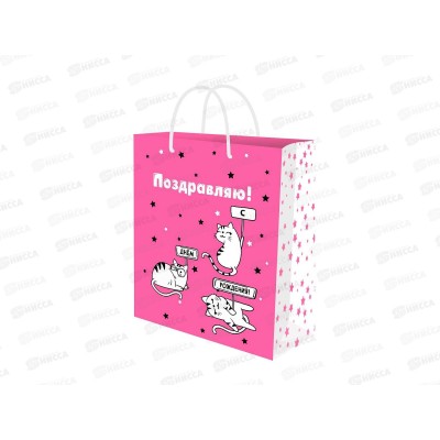 Пакет подарочный MI 11,5х14,5х6см Милые котики, ППК-2728 *12