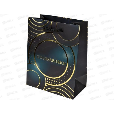 Пакет подарочный MI 18х23х10см Круги, ППК-2749 *12