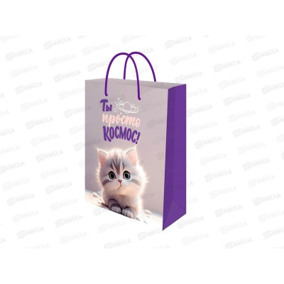 Пакет подарочный MI 22х31х10см Пушистый кот, ППК-2760  *12