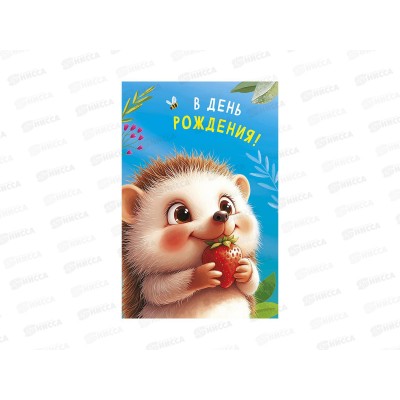 Открытка 121*183 В День Рождения 0117.449