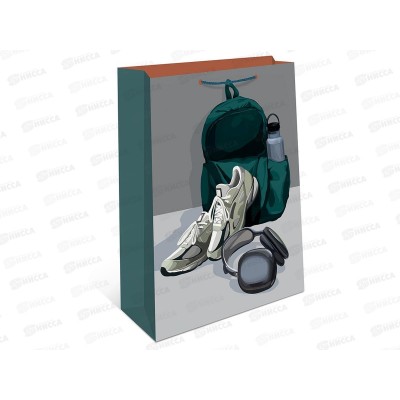 Пакет подарочный АД 26*32 0193.853