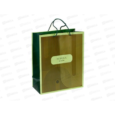 Пакет подарочный АД 26*32 0193.857