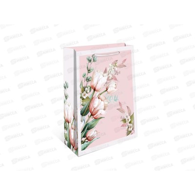 Пакет подарочный АД 33*42,5 0195.834