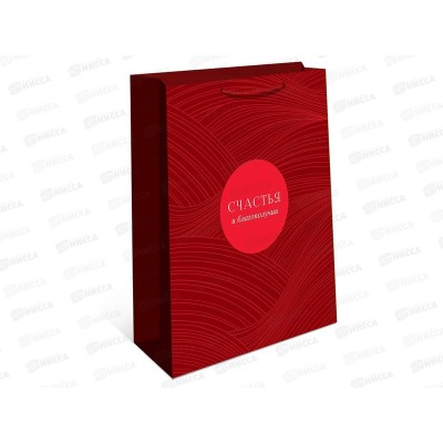 Пакет подарочный АД 33*42,5 0195.860