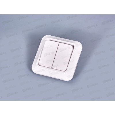 Выключатель с/у С54-001 2кл. (Минск) 16  *60 ш