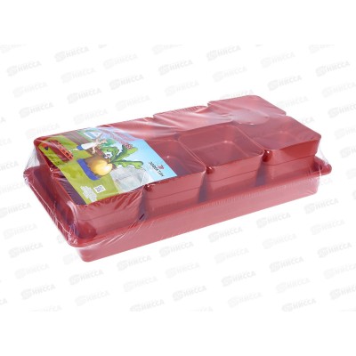 Набор д/рассады &quotДачник-2&quot 8ст*700мл терракот *5