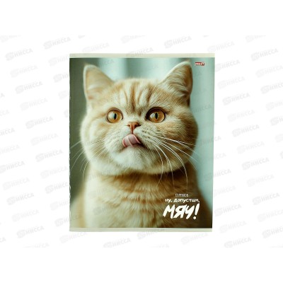 Тетрадь 48л клетка Profit Забавные коты - 4, 48-9071 *100