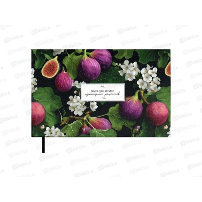 Кн.д/зап.кулин.рецептов ФЕН 221*136мм 96л, Инжир, 71082 *24