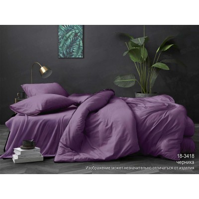 Комплект постельного белья 2,0сп европростыня LUXOR поплин гл/кр № Черника Комплект постельного белья 2,0сп европростыня LUXOR поплин гл/кр № Черника
