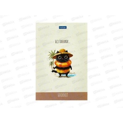 Блокнот 40л Hatber А6 Жж-мяу. клетка 093610 *6/96