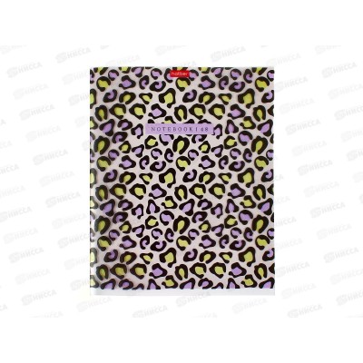 Тетрадь 48л кл. Hatber LEO-принт пласт. обл. 092368 *5/50