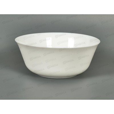 Салатник Эвридэй 24см G0570