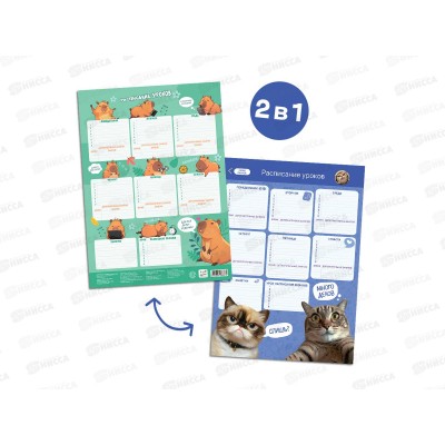 Расписание уроков ГД. Капибара+Мемокотики А3 многораз, 33774