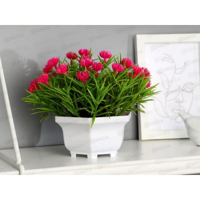 Бонсай в горшке &quotЧернушка дамасская&quot 18*15см микс 9222728