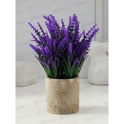 Бонсай в горшке &quotЛаванда куст&quot 7,5*19см микс 9750526