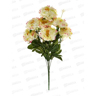 Букет 55см 7гол №443 микс 82012  *20/400   Б