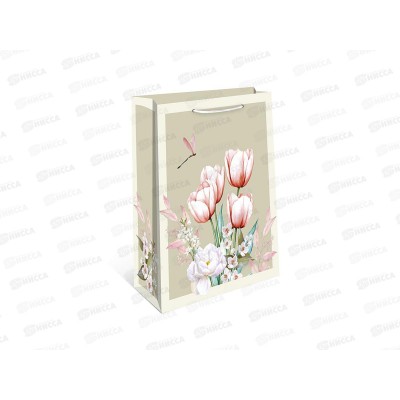 Пакет подарочный АД 26*32 0193.833