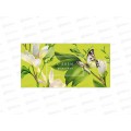 Конверт АД С Днем Рождения 0321.509