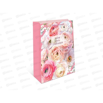 Пакет подарочный АД 18*22,3 0192.892