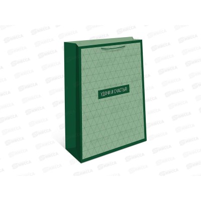 Пакет подарочный АД 18*22,3 0192.901