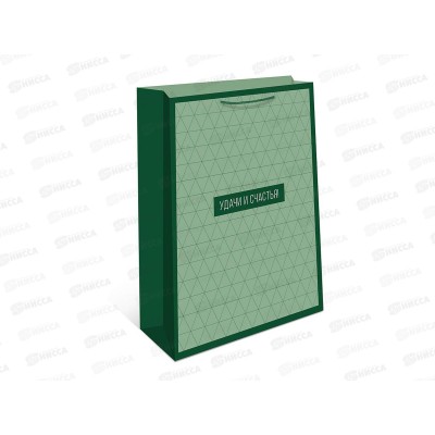 Пакет подарочный АД 33*42,5 0195.901