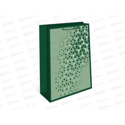 Пакет подарочный АД 26*32 0193.899