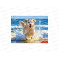 ПАЗ 500эл. Щенок на море, ШТП500-8270 *10
