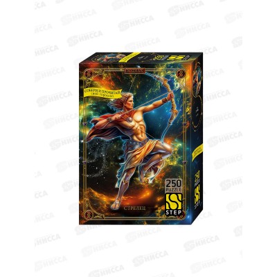 ПАЗ 250эл. 60010 Стрелец  *12