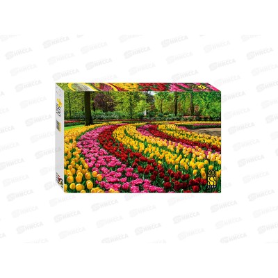 ПАЗ 500эл. 91020 Парк тюльпанов, Нидерланды  *12