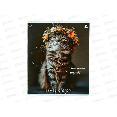 Тетрадь 48л кл. Alingar Кошки, мел. AL9950*5/100