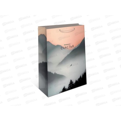 Пакет подарочный АД 18*22,3 0192.770