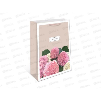 Пакет подарочный АД 18*22,3 0192.773