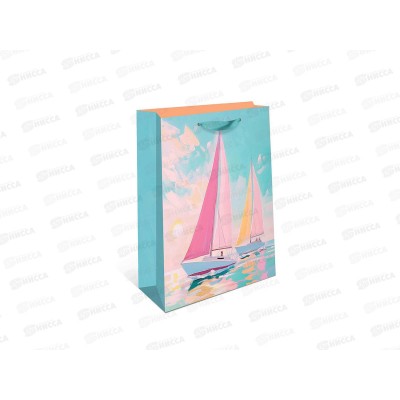 Пакет подарочный АД 26*32 Стандарт плюс 2310.076