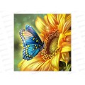 Алмаз. мозаика (класс.) 20х20см Голубая бабочка, НД-0898 на картоне Алмаз. мозаика (класс.) 20х20см Голубая бабочка, НД-0898 на картоне
