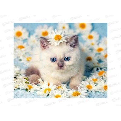 Алмаз. мозаика (класс.) 20х30см Котенок в ромашках, НД-0959 на картоне