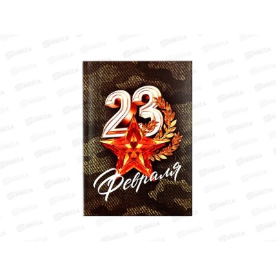 Ежедневник &quotС 23 Февраля Звезда&quot А5 64л 10020189