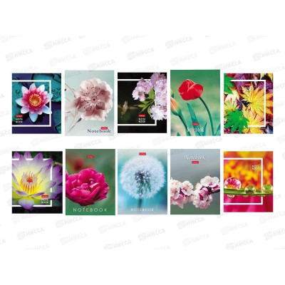 Записн.книжка Hatber А6 32л Живые моменты, 10диз. 091594 *144