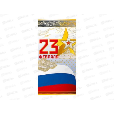 Открытка 105*210 23 Февраля 0827.192