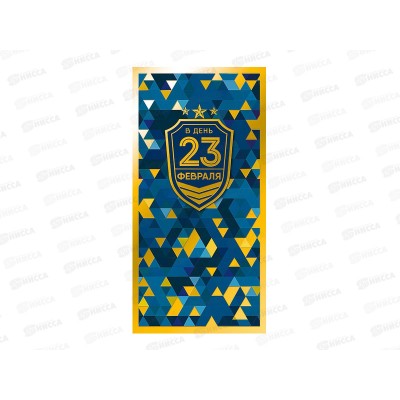 Открытка 105*210 В День 23 Февраля 0827.197