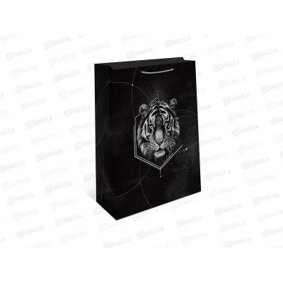 Пакет подарочный АД 18*22,3 0192.766