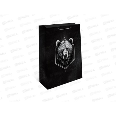 Пакет подарочный АД 18*22,3 0192.767