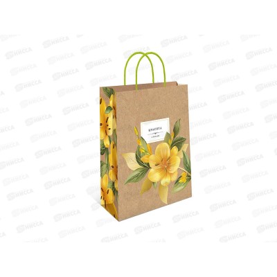 Пакет подарочный АД 18*22,3 Крафт 0397.682