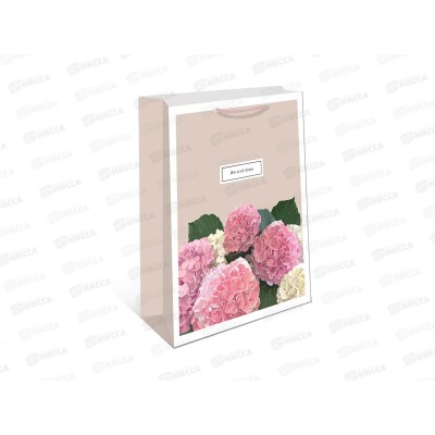 Пакет подарочный АД 26*32 0193.773