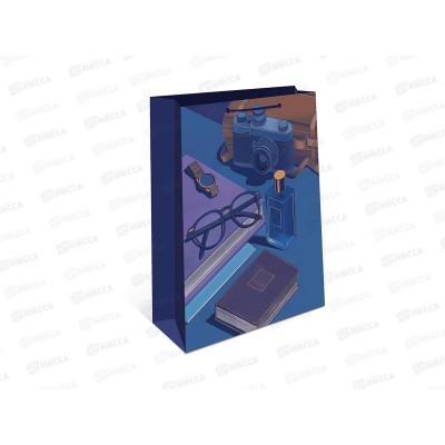 Пакет подарочный АД 26*32 0193.849